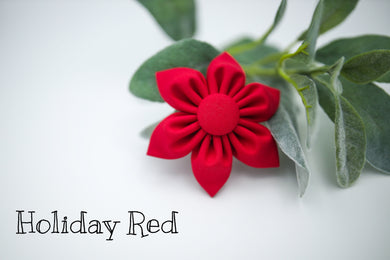 Holiday Red Daisy