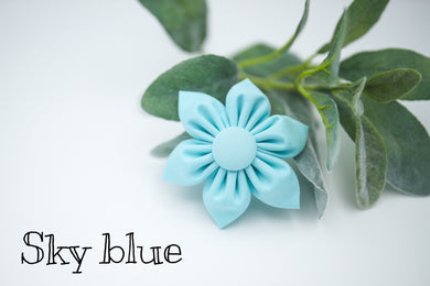 Sky blue Daisy